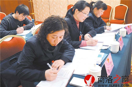 柞水團(tuán)代表正在認(rèn)真撰寫建議。 （記者 李敏 費(fèi)翔 攝）