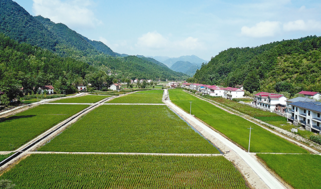 鎮(zhèn)安 產業(yè)旺了 生活甜了